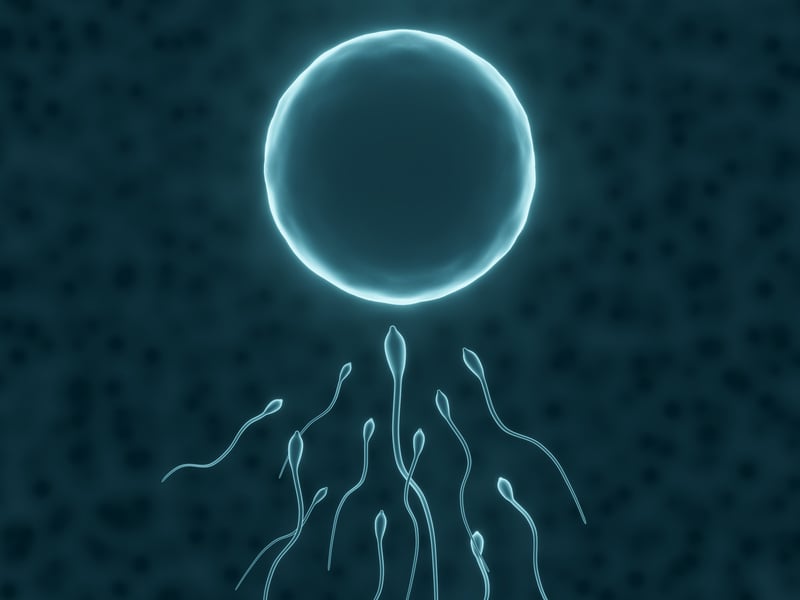 3D Blue Microscopic Sperm and Egg Cell.